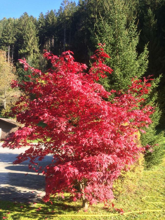 Gasthof Waldrast เซลล์ อัม ซิลลา ภายนอก รูปภาพ